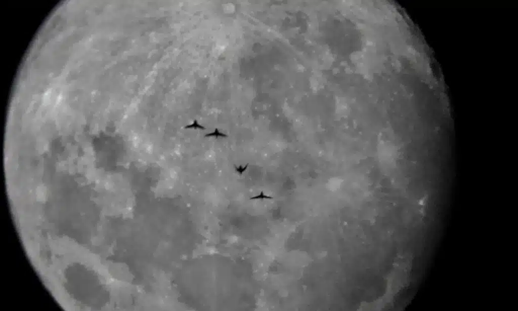 64. Le saviez-vous? Il y a des oiseaux sur la lune!