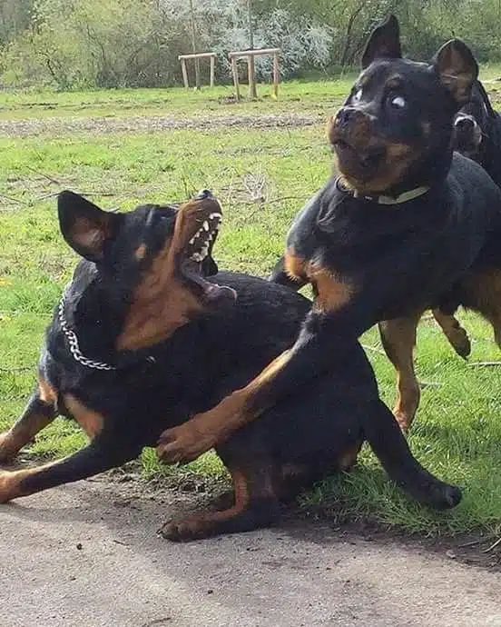 Quand elle te dit que tout va bien