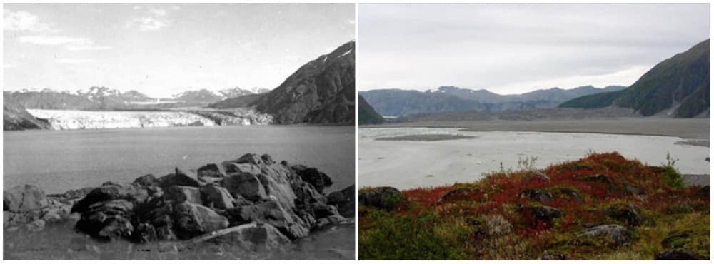 Glacier caroll, alaska. Août 1906 - septembre 2003. - 21 trends