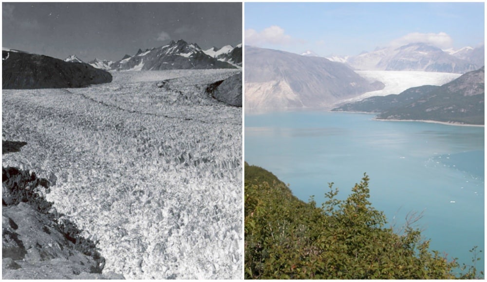 Glacier muir, alaska. Août, 1941 - août 2004. - 21 trends
