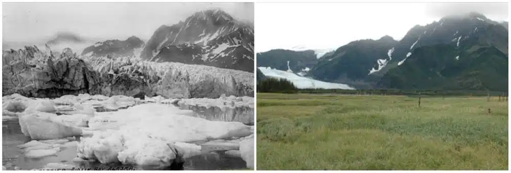 Glacier pedersen, alaska. Été, 1917 - été, 2005. - 21 trends