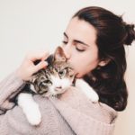 21' trends | top 10 des chats préférés des français | races de chats,américains,usa |