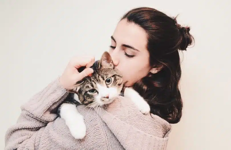 21' trends | top 10 des chats préférés des français |