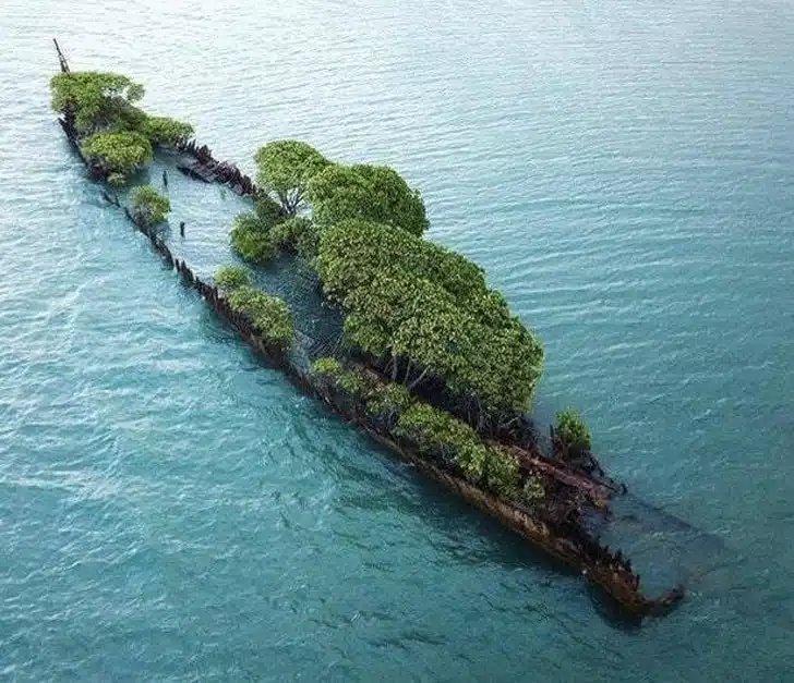 15. Une arche de noé naturelle - 21 trends