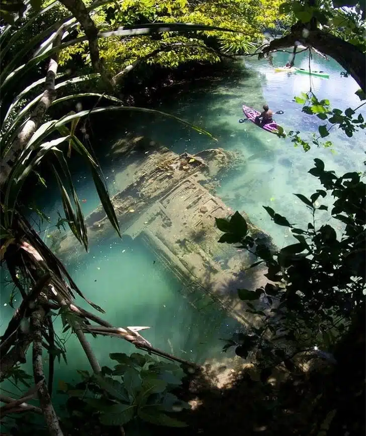 5. La nature aura toujours raison des guerres - 21 trends