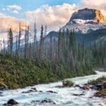 Le trésor des montagnes rocheuses découvert - 21 trends