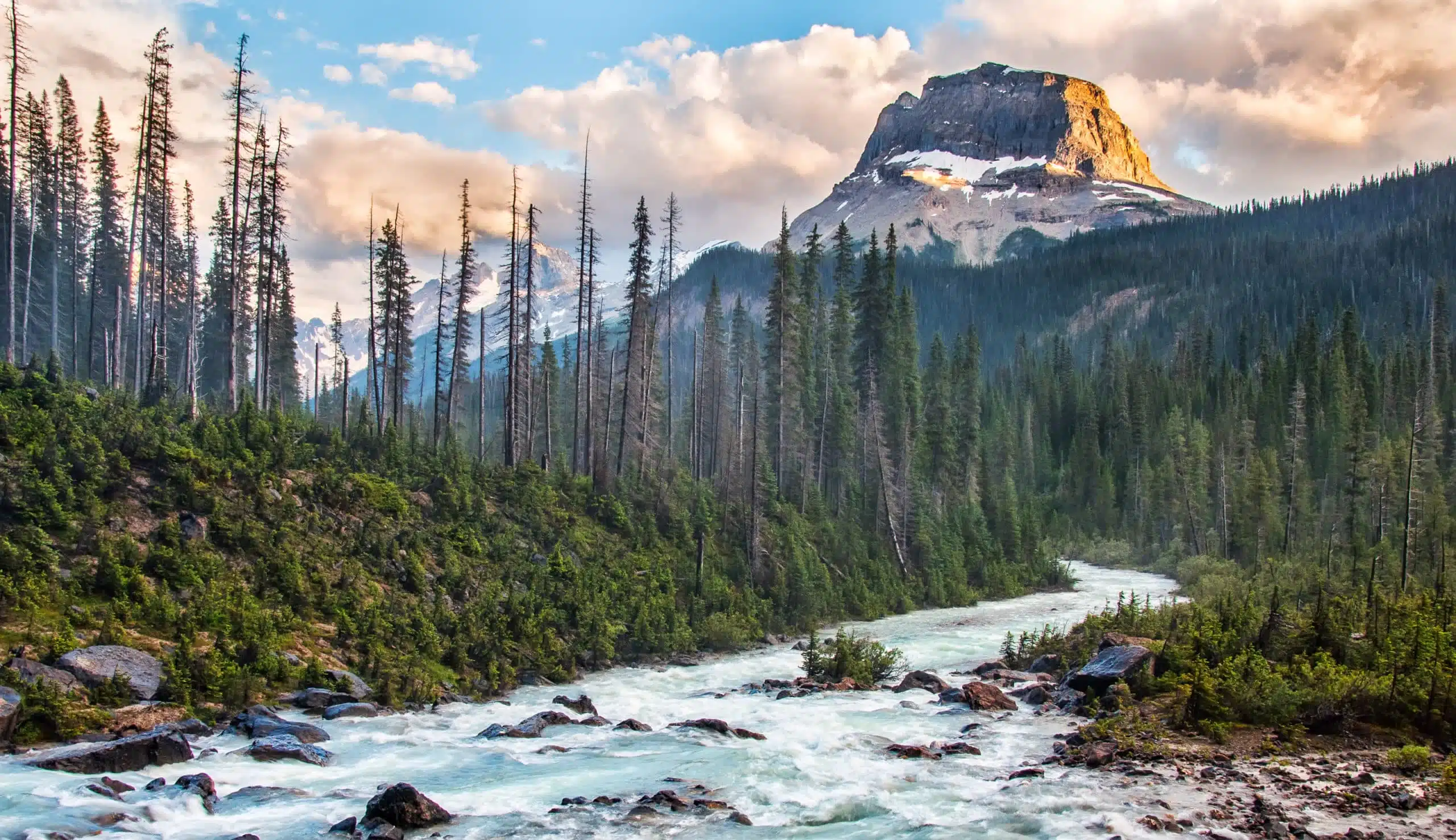 Le trésor des montagnes rocheuses découvert - 21 trends