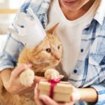 21' trends | top 10 des preuves que ton chat est ton enfant, pas touche! |