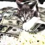 21' trends | top 10 des chats les plus chers du monde | trésor des montagnes,rocheuses,usa |