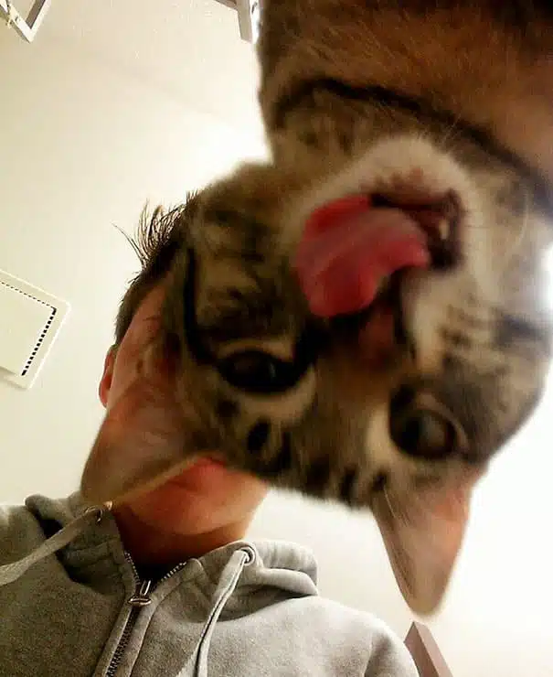 21 trends - le chat en mode selfi
