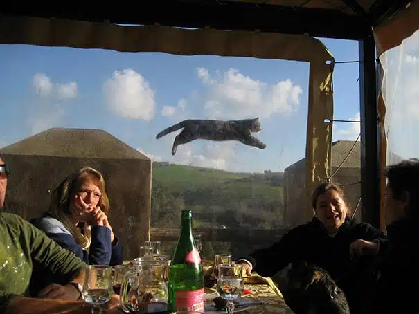 21 trends - les photos entre amis sans le chat!
