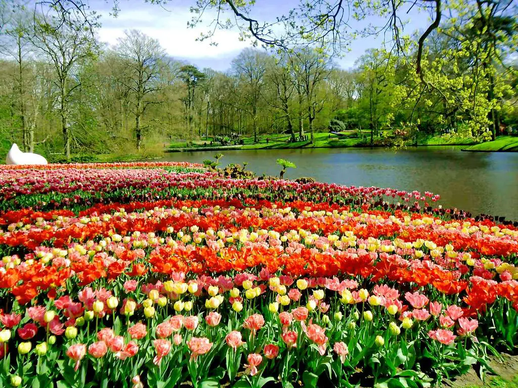 21 trends - le jardin keukenhof