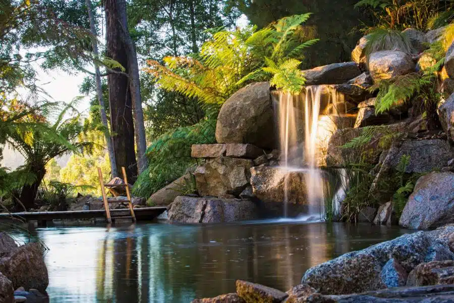 21 trends - le jardin olinda