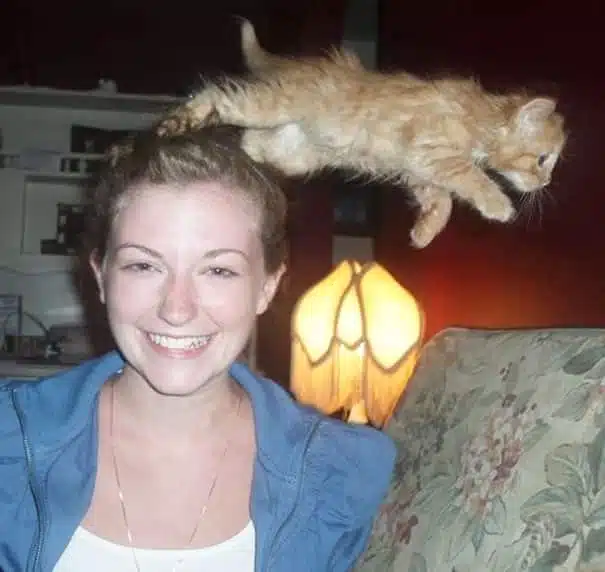 21 trends - le chat qui saute