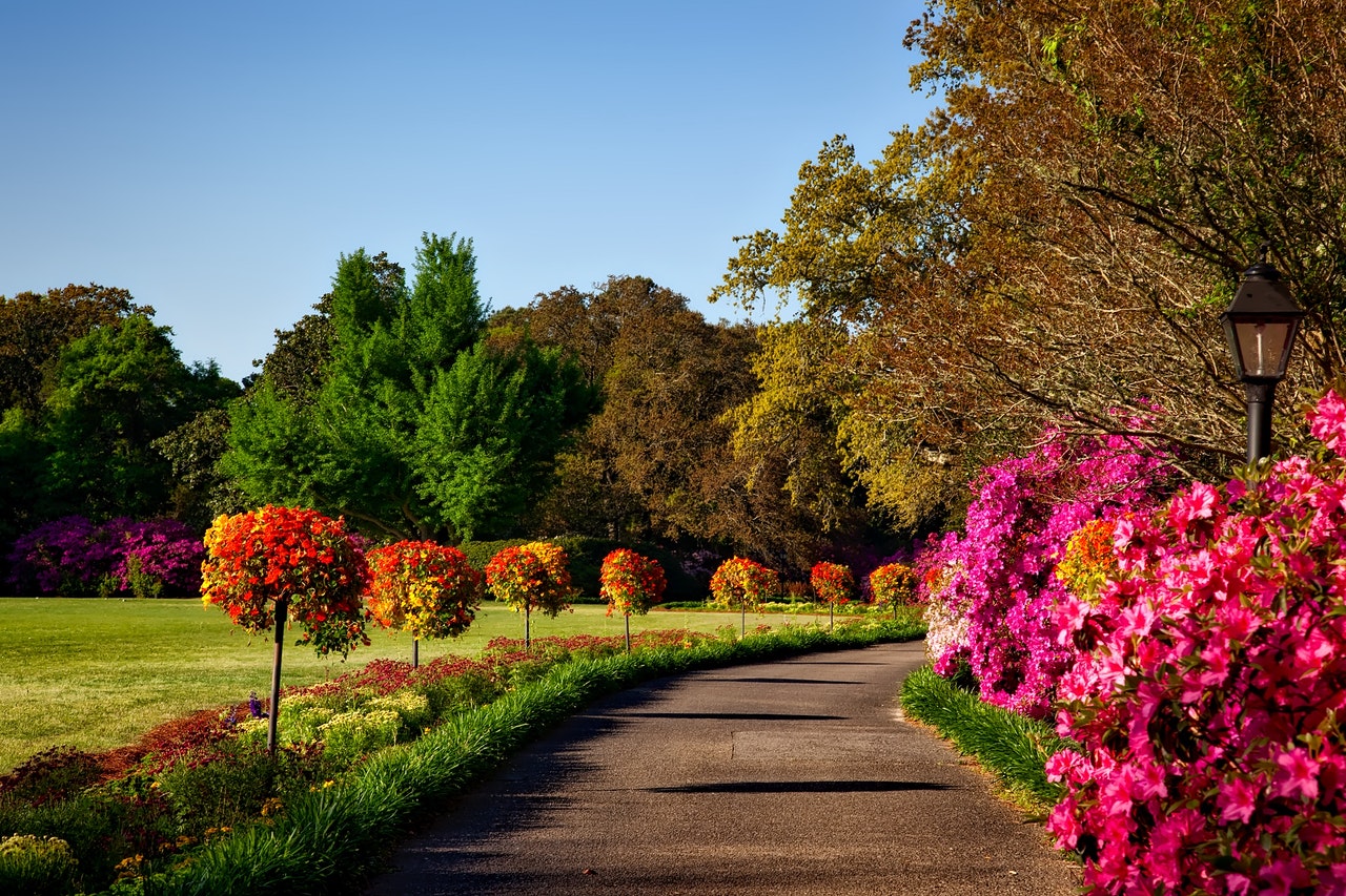 21' trends | top 15 des plus beaux jardins | facebook |