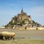 21' trends | top 21 des meilleurs endroits à visiter en france | fleurs,top 21,amoureux,jardin,rose,lotus,marguerite,gardénia,églantine,décorer,fuchsia,tournesol,jonquille,lavande,lys,orchidée,parfum,amour,fragile |