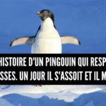 21' trends | top 80+ des meilleures blagues courtes, pour ceux qui aiment les blagues de merde | mots qui n'existent pas |