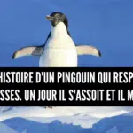 21' trends | top 80+ des meilleures blagues courtes, pour ceux qui aiment les blagues de merde | comptines pour enfants |