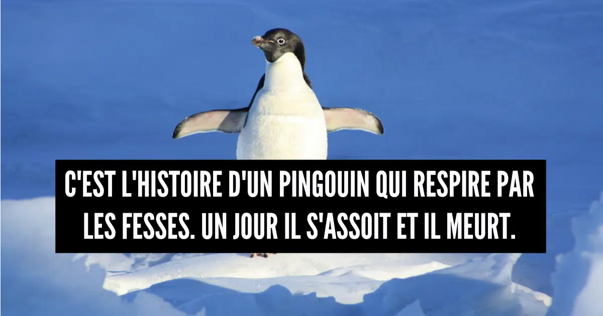 21' trends | top 80+ des meilleures blagues courtes, pour ceux qui aiment les blagues de merde |