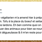 21' trends | top 15 des tweets les plus drôles sur les végans et les végétariens, ce n’est pas bien de se moquer | permis |