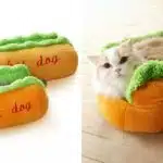 21' trends | top 200+ des accessoires pour chat les plus cool, pour leur offrir des cadeaux | action |
