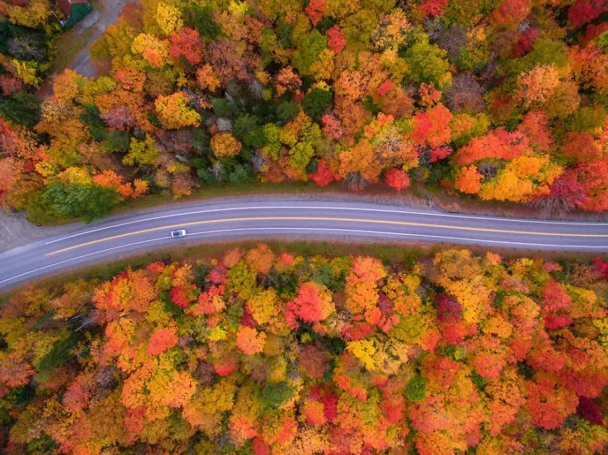 21' trends | top 20 des plus belles images de la nature |